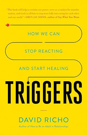  Triggers: How We Can Stop Reacting and Start Healing